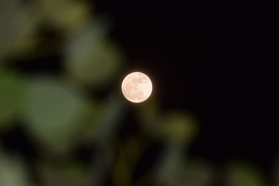 Close-up of moon against sky