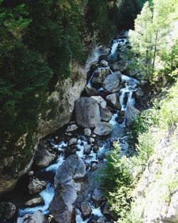 River flowing through rocks in forest