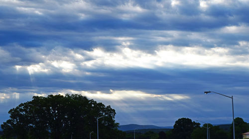 Low angle view of silhouette trees against sky