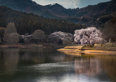 Scenic view of lake by mountains against sky