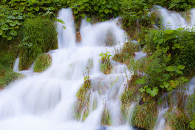 Scenic view of waterfall in forest