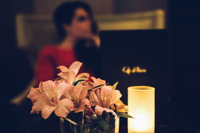 Close-up of flower against blurred background