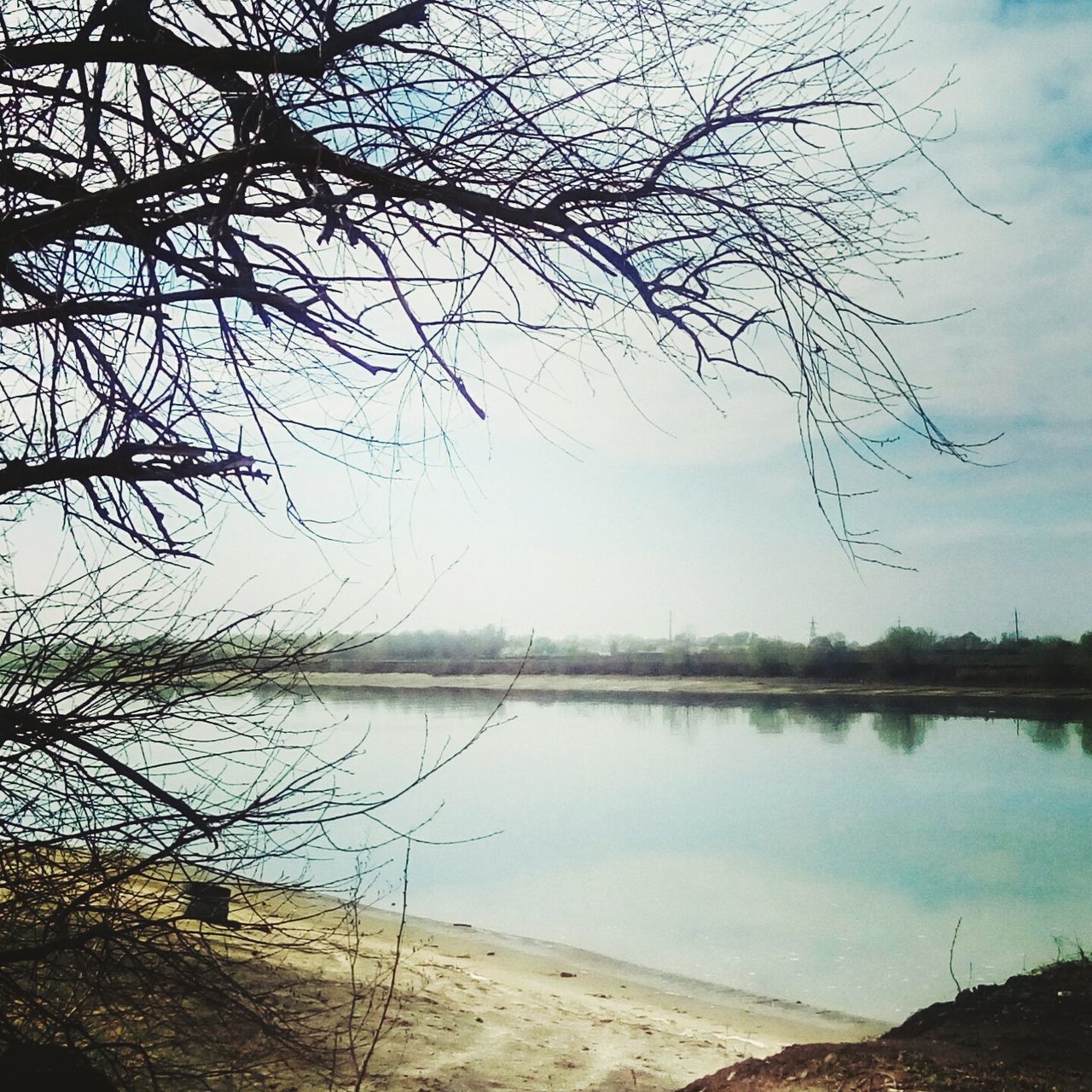 water, bare tree, tranquility, tranquil scene, branch, tree, scenics, sky, lake, nature, beauty in nature, lakeshore, sea, day, reflection, calm, outdoors, shore, idyllic, non-urban scene