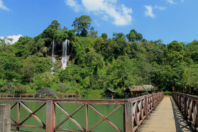 Footbridge amidst trees against sky