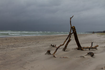 Scenic view beach bonfire sticks on beach during overcast weather