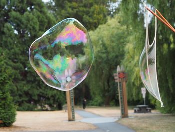 Close-up of bubbles in park