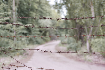 Barbed wire fence against trees