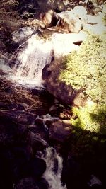 Stream flowing through rocks in forest