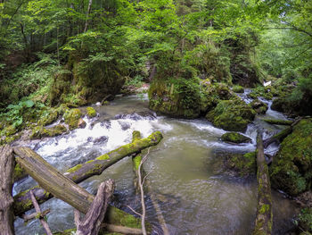 Scenic view of waterfall in forest