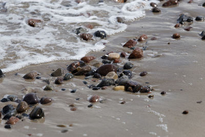 High angle view of pebbles on beach