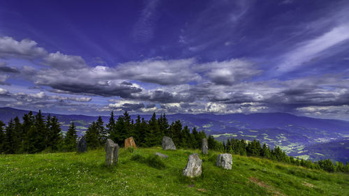 Scenic view of field against sky