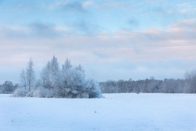 Beautiful winter landscape with field of white snow and forest on horizon on sunny frosty day.