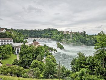 Plants and trees against sky in city rheinfall