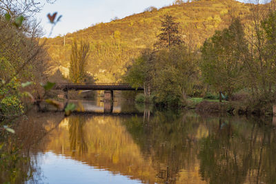 Bridge over lake against trees