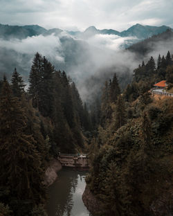 Panoramic view of river amidst trees against sky