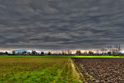 Scenic view of field against sky