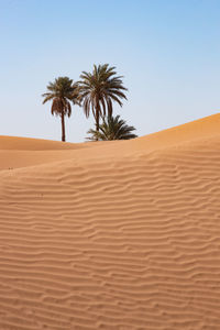 Scenic view of desert against clear sky