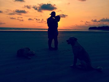 Silhouette man with dog at beach during sunset