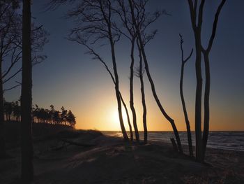 Silhouette trees on shore against sky during sunset