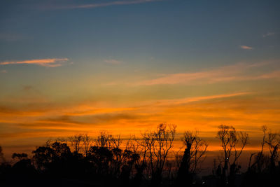 Silhouette plants against dramatic sky during sunset