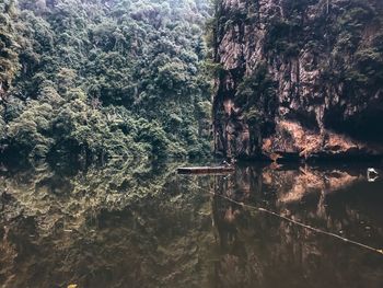 Trees by lake in forest
