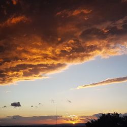 Low angle view of silhouette trees against sky during sunset