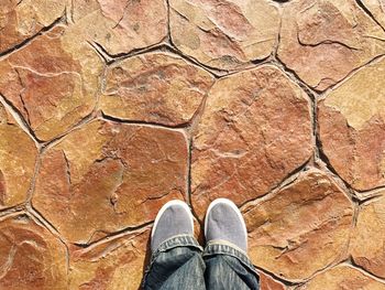 Low section of man standing on ground