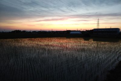 Scenic view of field against sky at sunset