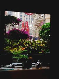 Potted plants on the wall