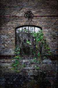 Low angle view of window on brick wall