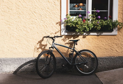 Bicycle on potted plant against wall