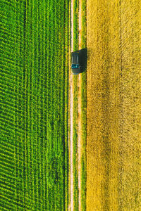 Car amidst agricultural field