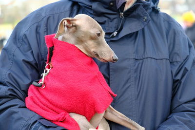 Close-up of dog on man