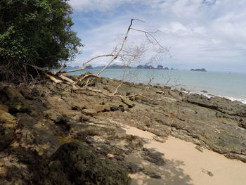 Scenic view of beach against sky