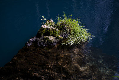 High angle view of rock formation in sea