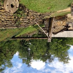 Reflection of trees in river