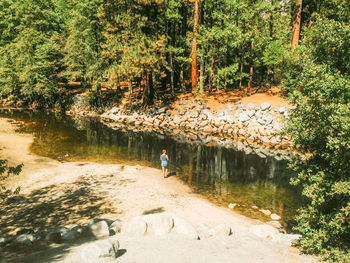 Full length of woman standing in forest