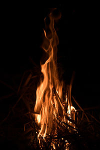 Close-up of fire in the dark