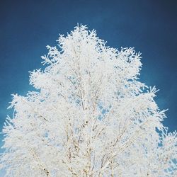 Low angle view of white snow
