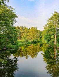 Scenic view of lake by trees against sky