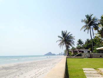 Palm trees on beach against clear sky