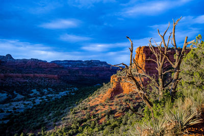 Bare trees on mountain against sky