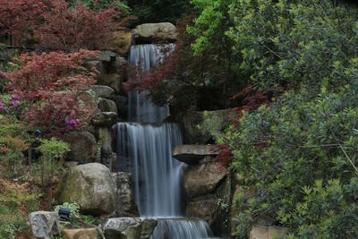 View of waterfall in forest