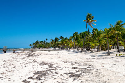 Scenic view of beach against clear blue sky