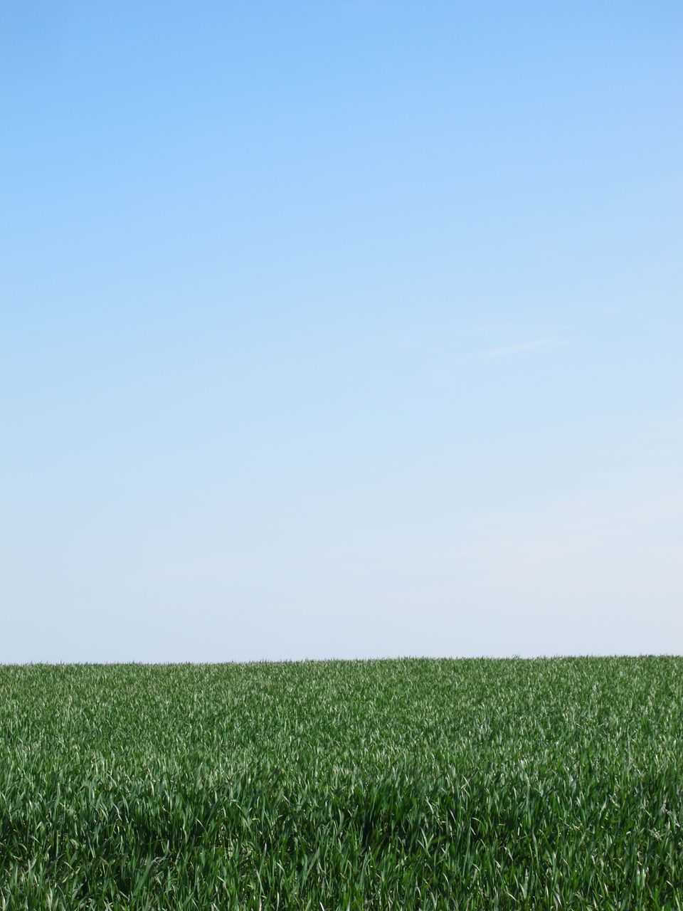 SCENIC VIEW OF FARM AGAINST CLEAR SKY