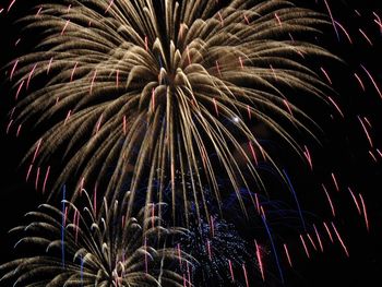 Low angle view of firework display at night