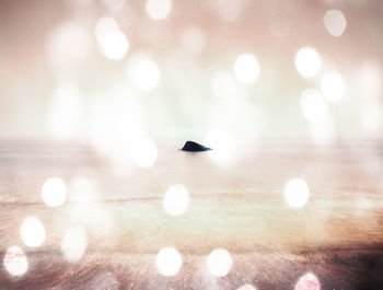 Defocused image of illuminated lights on table