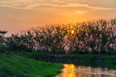 Magdalena river by silhouette trees against sky during sunset