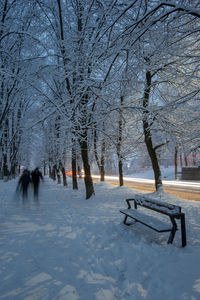 Rear view of people walking on snow covered landscape