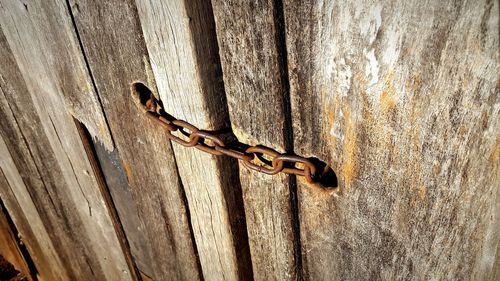 Close-up of wood